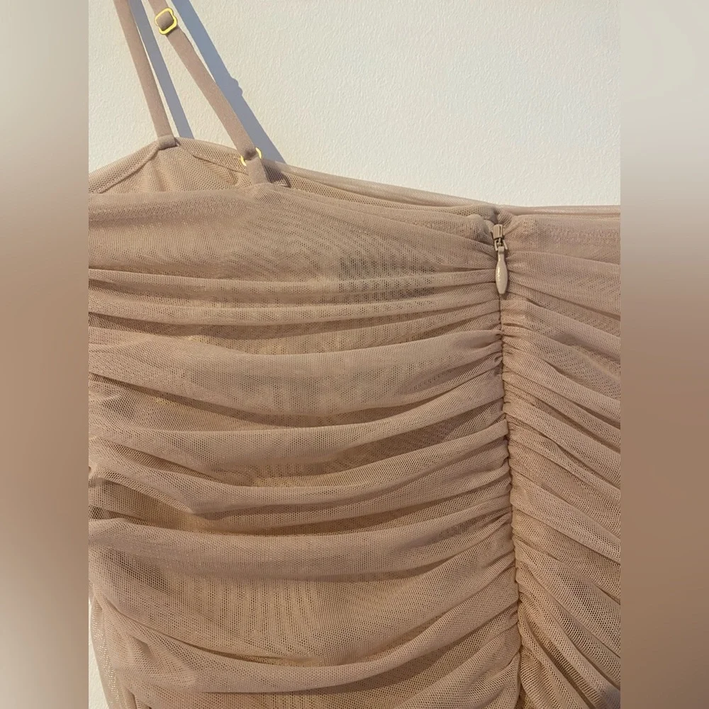Babaton Mesh Corset Top โจ๐ Blush Pink ๐๐ซ NEVER WORN ๐ซ๐ - Picture 4 of 5